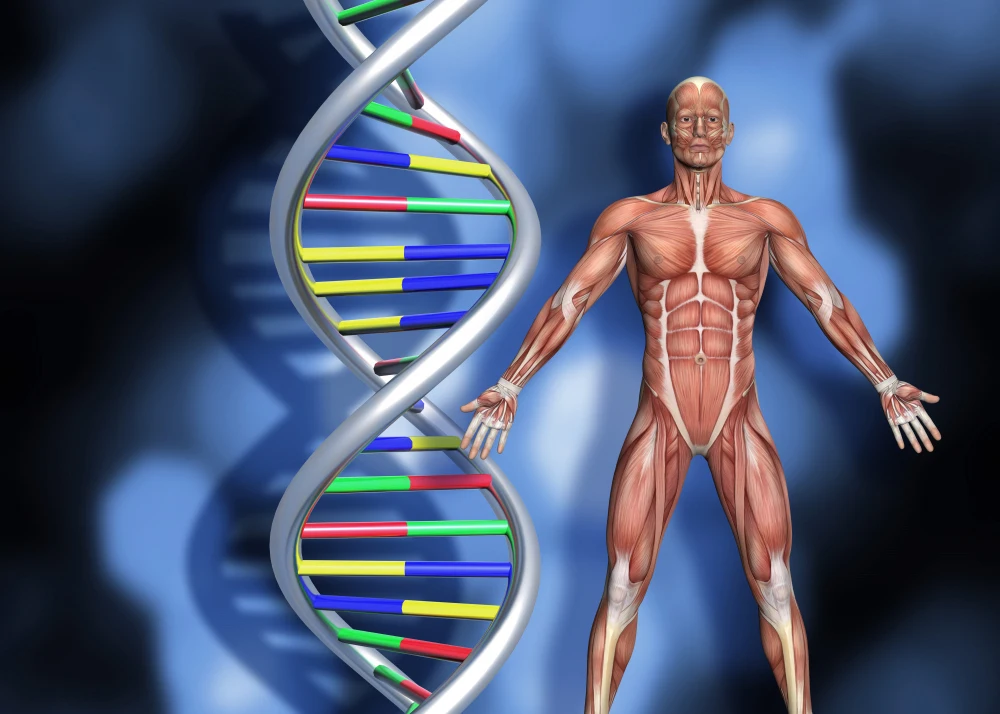 لاغری ژنتیکی چیست